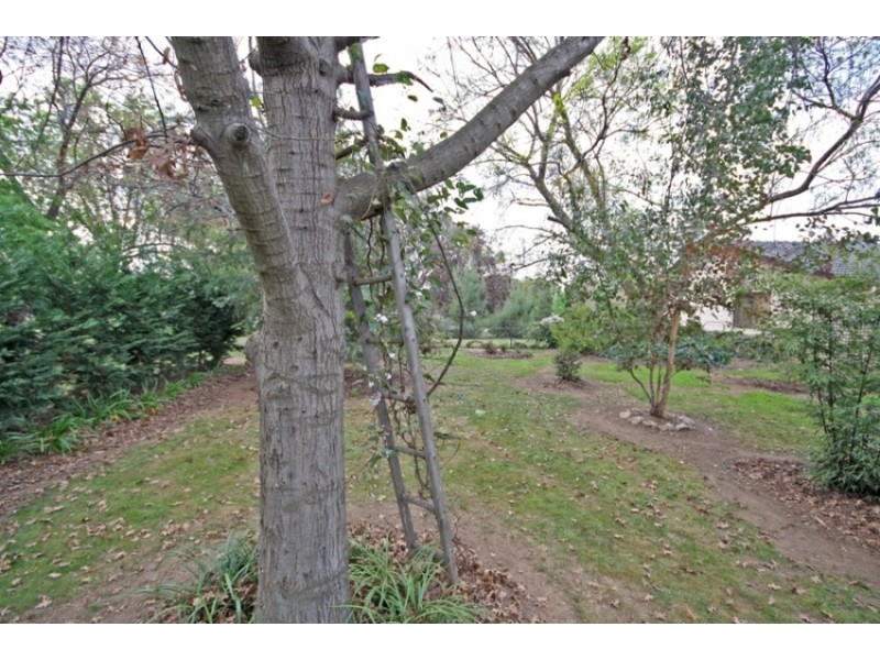 8 Kyeamba Avenue, Wagga Wagga NSW 2650