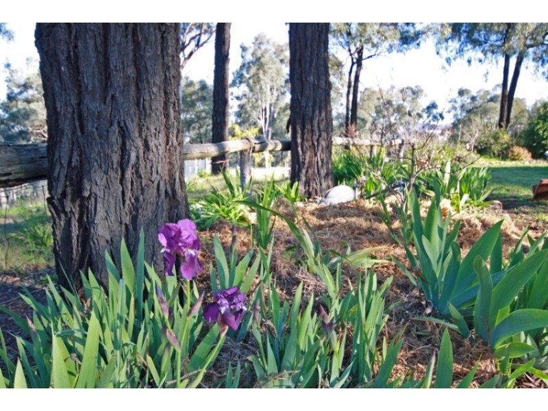 196 Barcoo Lane, Wagga Wagga NSW 2650