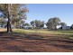 196 Barcoo Lane, Big Springs NSW 2650