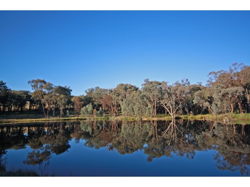 196 Barcoo Lane, Big Springs NSW 2650