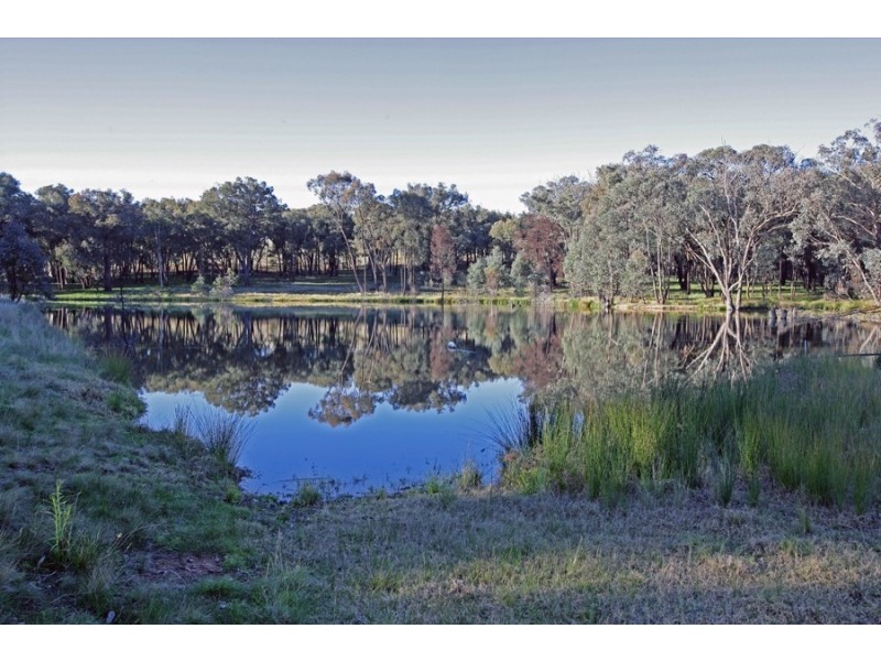 196 Barcoo Lane, Big Springs NSW 2650