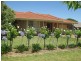 12 Nara Place, Wagga Wagga NSW 2650