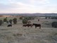 632 O’Briens Creek Road, Wagga Wagga NSW 2650