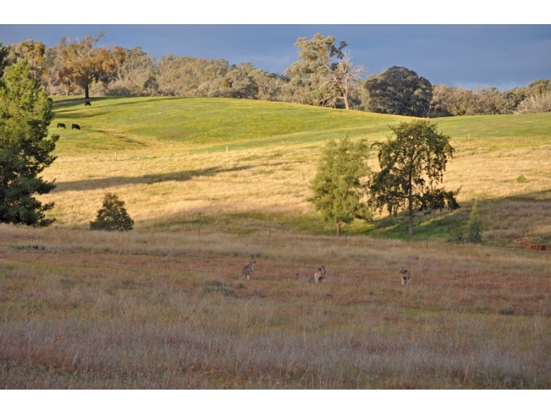 632 O’Briens Creek Road, Wagga Wagga NSW 2650