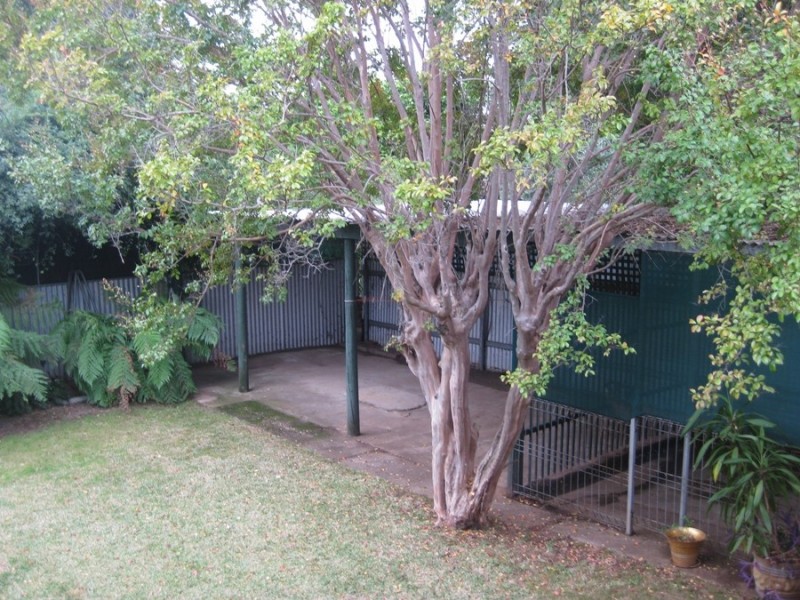 6 Donnelly Avenue, Wagga Wagga NSW 2650