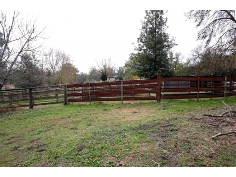 255 Lower Tarcutta Road, Tarcutta NSW 2652