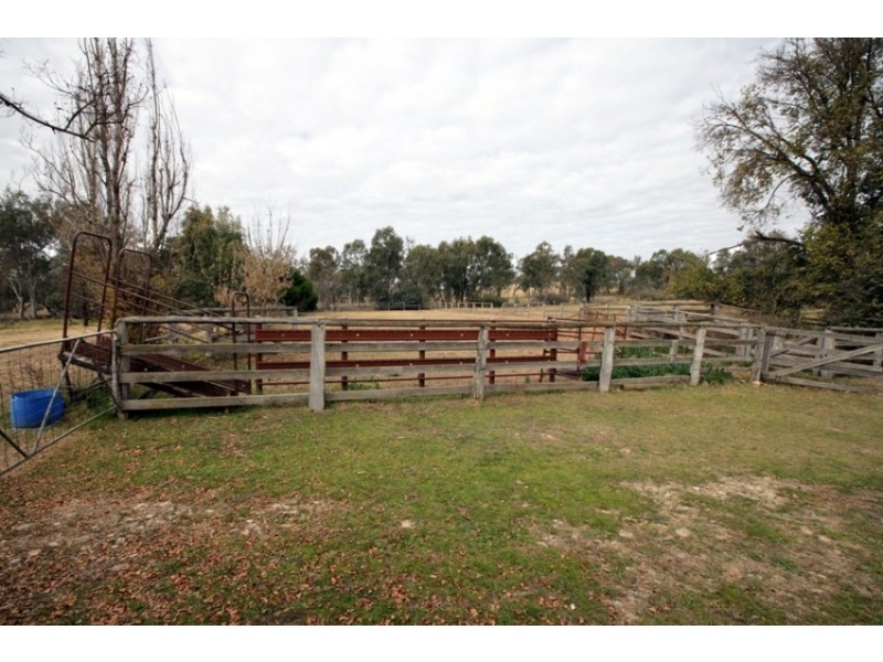 255 Lower Tarcutta Road, Tarcutta NSW 2652