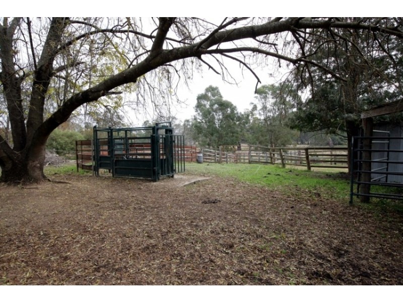 255 Lower Tarcutta Road, Tarcutta NSW 2652