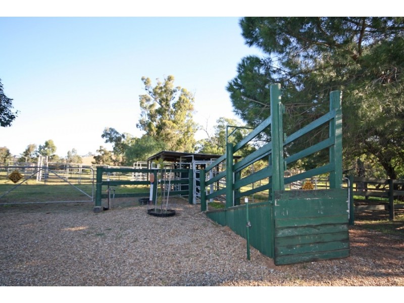 RMB 644B Wokolena Road, Wagga Wagga NSW 2650