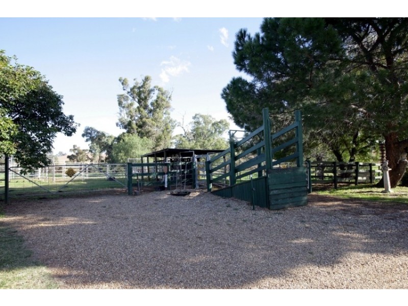 RMB 644B Wokolena Road, Wagga Wagga NSW 2650