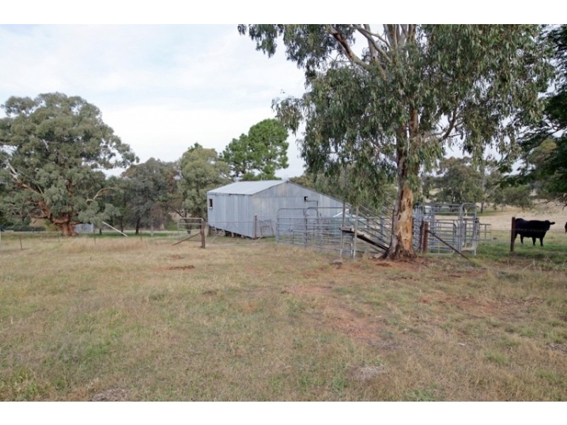 1440 Mangoplah-The Rock Rd, Mangoplah NSW 2652