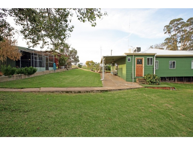 1440 Mangoplah-The Rock Rd, Mangoplah NSW 2652