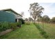 1440 Mangoplah-The Rock Rd, Mangoplah NSW 2652