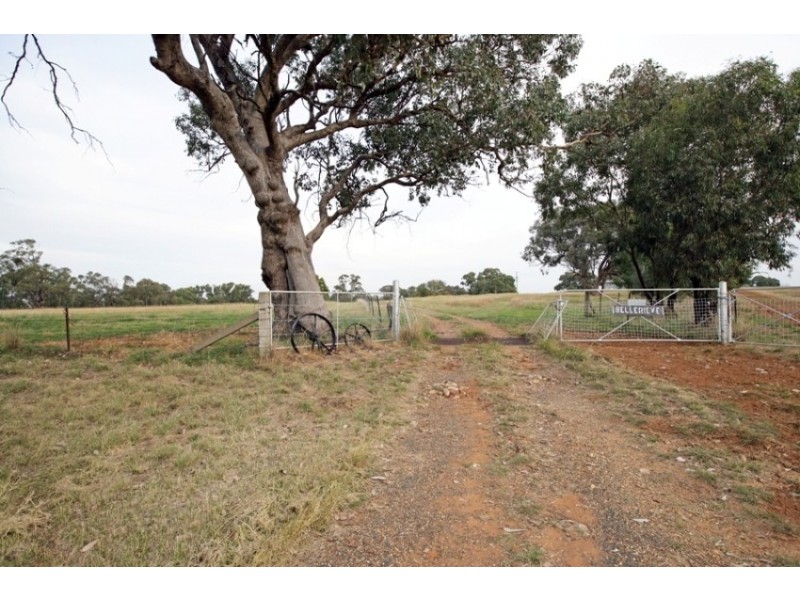 1440 Mangoplah-The Rock Rd, Mangoplah NSW 2652