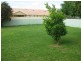 19 Avocet Drive, Wagga Wagga NSW 2650