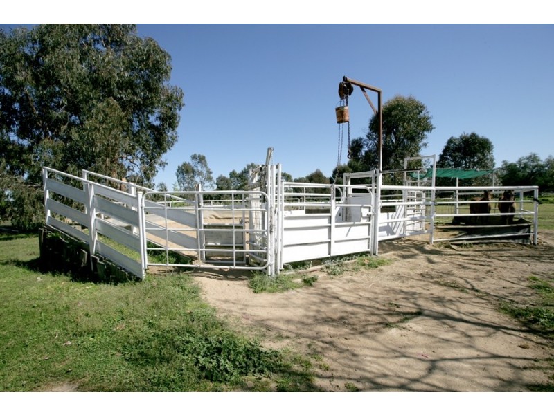 13 Graham Avenue, Gumly Gumly NSW 2652