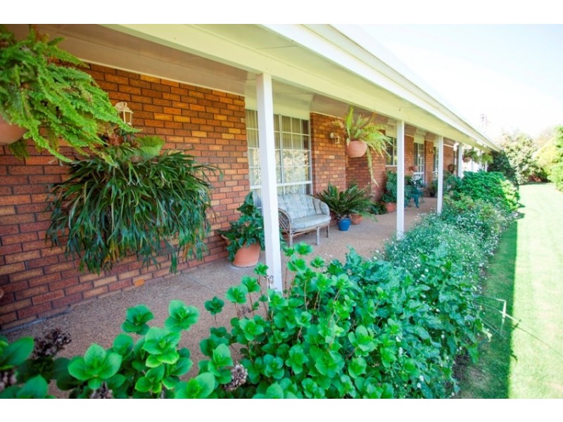 96 River Road, Alfredtown NSW 2650
