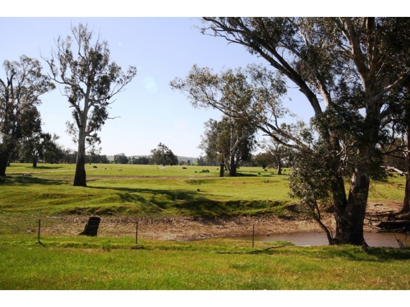 16 Graham Avenue, Gumly Gumly NSW 2652