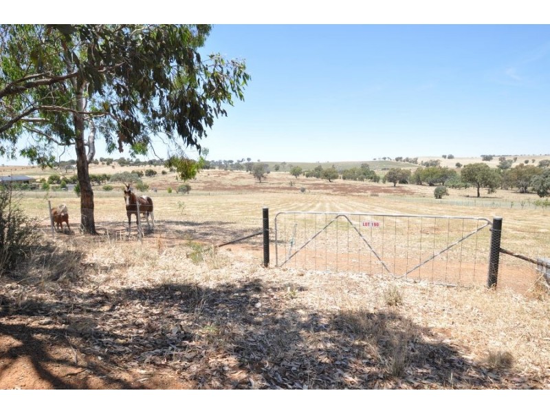 Lot 190 Tathra Road, Junee NSW 2663