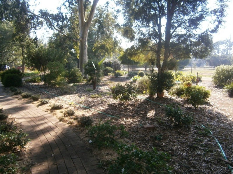 4A Elm Rd, Wagga Wagga NSW 2650