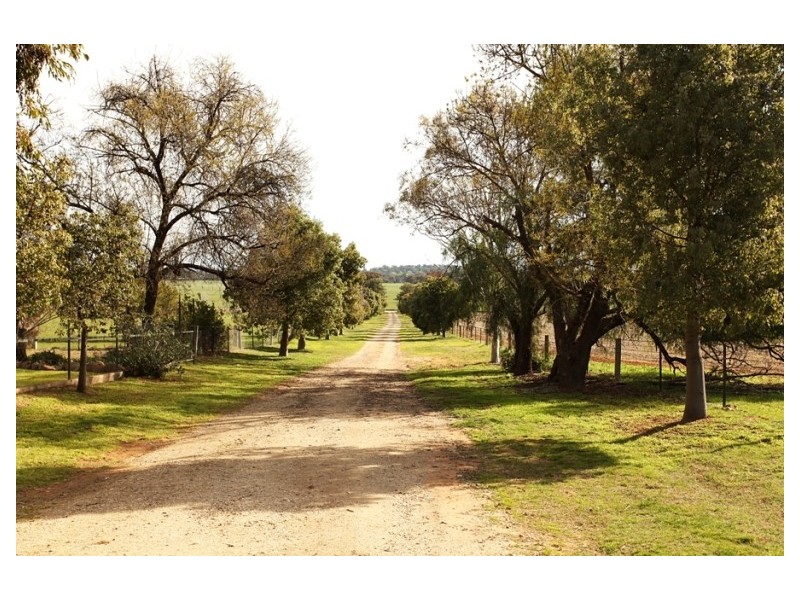 344 River Road, Wagga Wagga NSW 2650