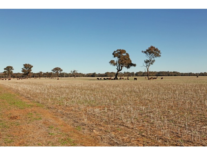 344 River Road, Wagga Wagga NSW 2650