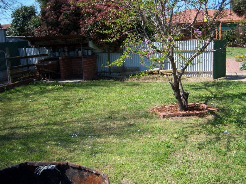 31 Connorton Street, Uranquinty NSW 2652