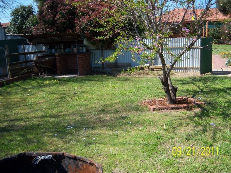 31 Connorton Street, Uranquinty NSW 2652