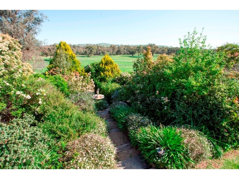 96 River Road, Alfredtown NSW 2650