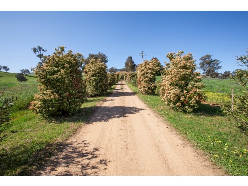 96 River Road, Alfredtown NSW 2650