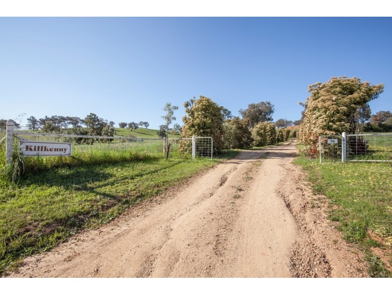 96 River Road, Alfredtown NSW 2650