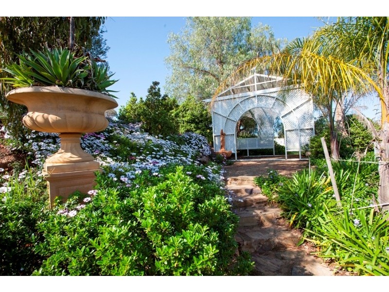 96 River Road, Alfredtown NSW 2650