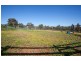 96 River Road, Alfredtown NSW 2650