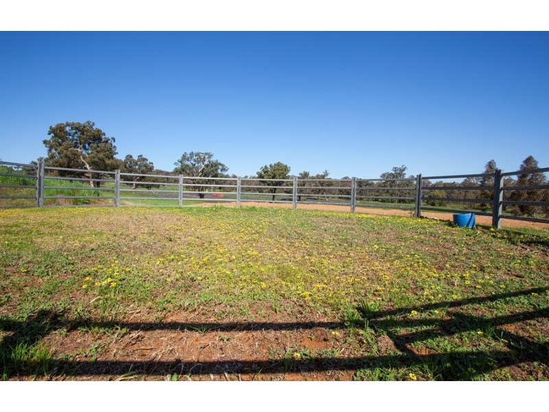 96 River Road, Alfredtown NSW 2650