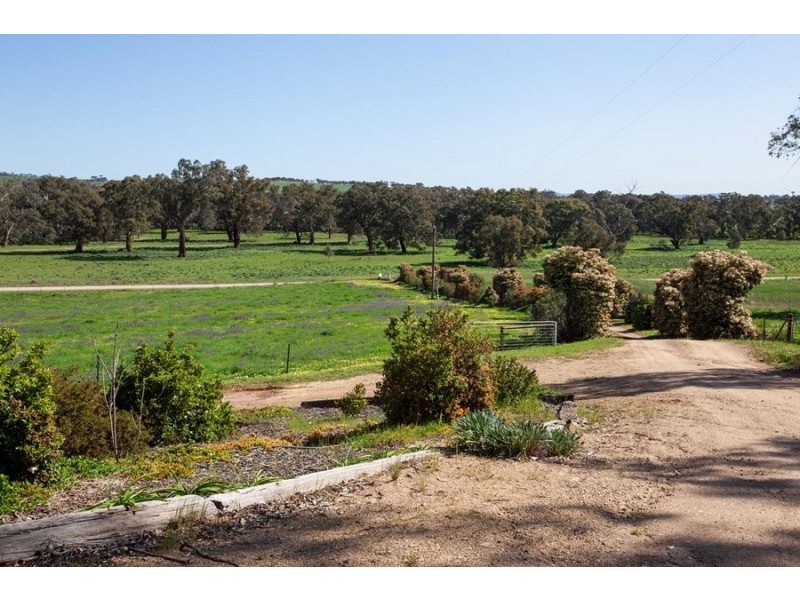 96 River Road, Alfredtown NSW 2650