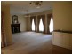 161 Gurwood Street, Wagga Wagga NSW 2650