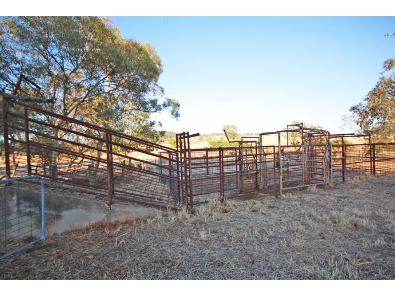 113 Coolamon Road, Wagga Wagga NSW 2650