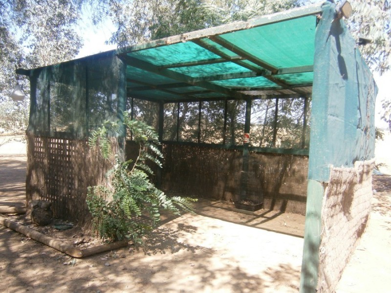 106 Inglewood Road, Wagga Wagga NSW 2650