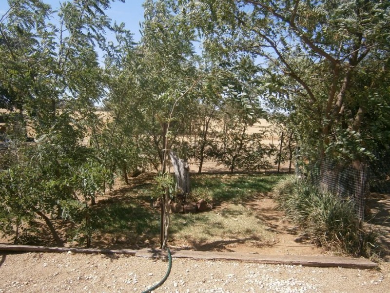 106 Inglewood Road, Wagga Wagga NSW 2650