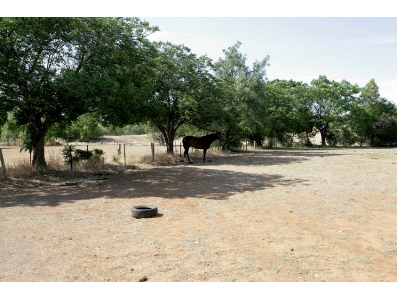 445 and 449 Pine Gully Road, Wagga Wagga NSW 2650