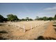 445 Pine Gully Road, Wagga Wagga NSW 2650