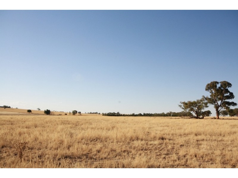 113 Coolamon Road, Wagga Wagga NSW 2650