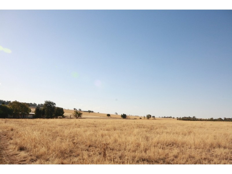113 Coolamon Road, Wagga Wagga NSW 2650