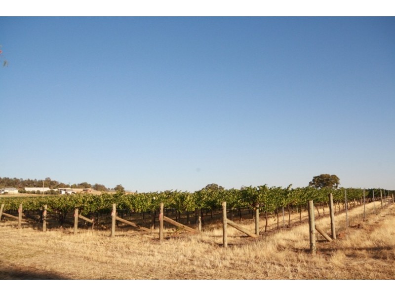 113 Coolamon Road, Wagga Wagga NSW 2650