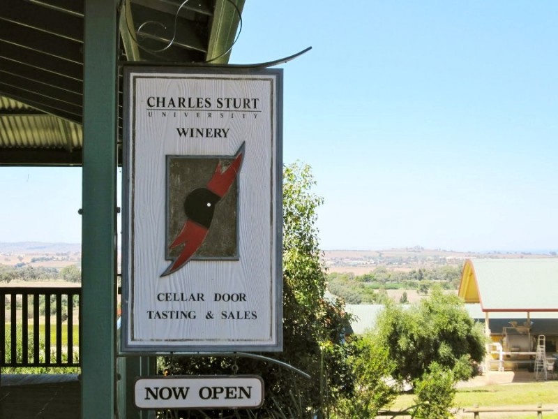 113 Coolamon Road, Wagga Wagga NSW 2650