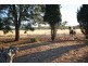 113 Coolamon Road, Wagga Wagga NSW 2650