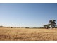 113 Coolamon Road, Wagga Wagga NSW 2650