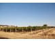 113 Coolamon Road, Wagga Wagga NSW 2650
