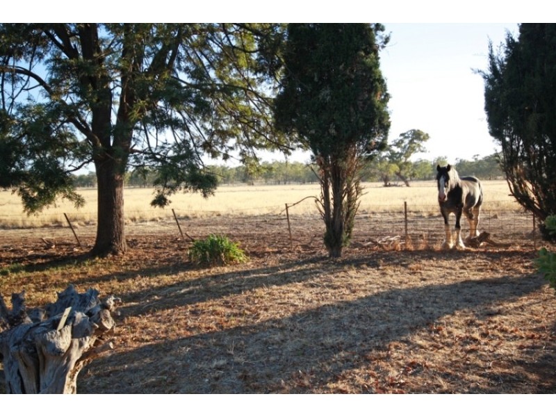 113 Coolamon Road, Wagga Wagga NSW 2650