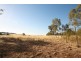 113 Coolamon Road, Wagga Wagga NSW 2650